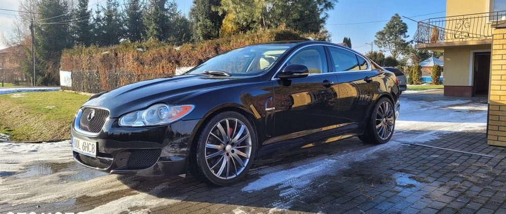 Jaguar XF cena 40000 przebieg: 151000, rok produkcji 2010 z Biecz małe 301